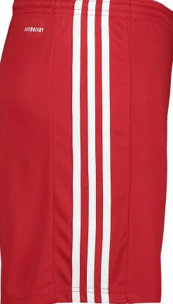 squad 21 short jr<ADIDAS Outlet