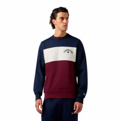 sweatshirt icons crewneck m<CHAMPION Hot